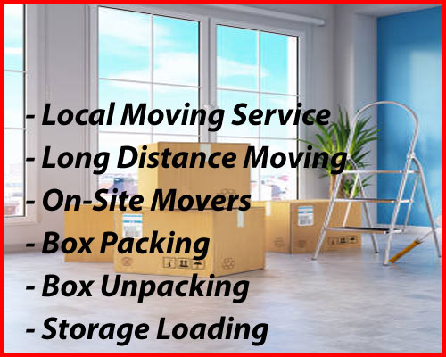 Packers And Movers Noida Sector 162
